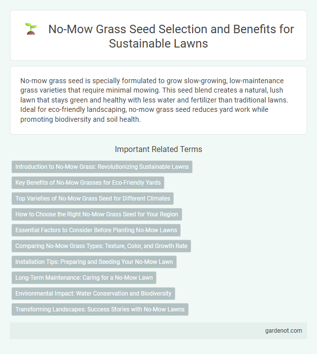 No-Mow Grass Seed Selection and Benefits for Sustainable Lawns