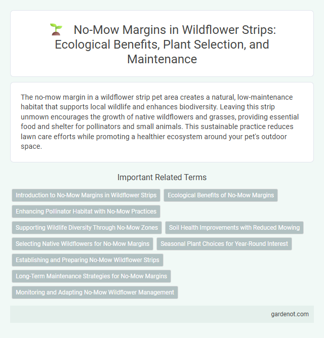No-Mow Margins in Wildflower Strips: Ecological Benefits, Plant Selection, and Maintenance