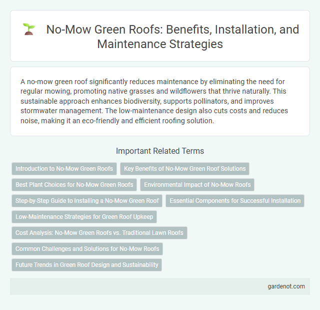 No-Mow Green Roofs: Benefits, Installation, and Maintenance Strategies