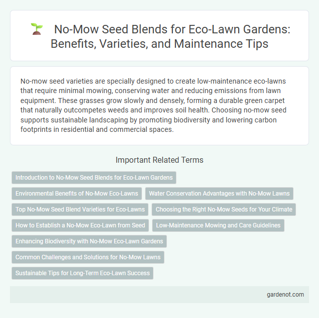 No-Mow Seed Blends for Eco-Lawn Gardens: Benefits, Varieties, and Maintenance Tips