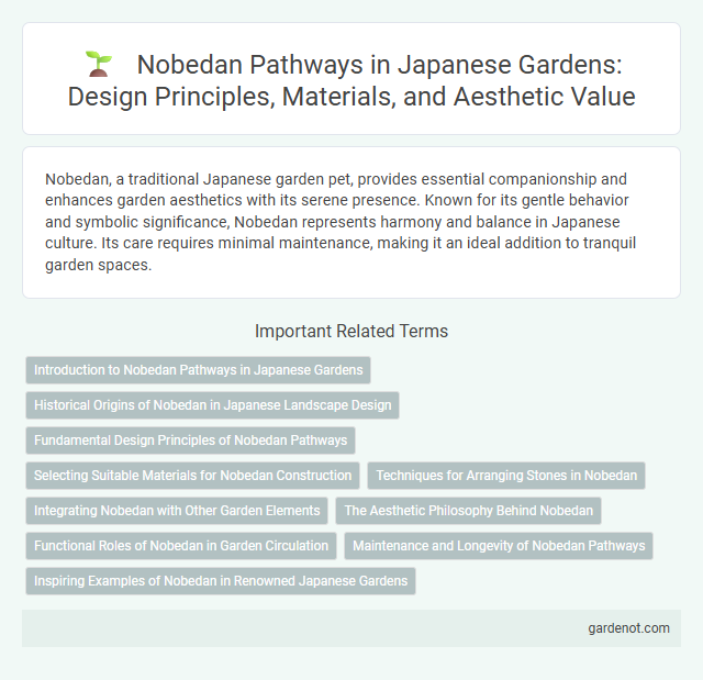 Nobedan Pathways in Japanese Gardens: Design Principles, Materials, and Aesthetic Value