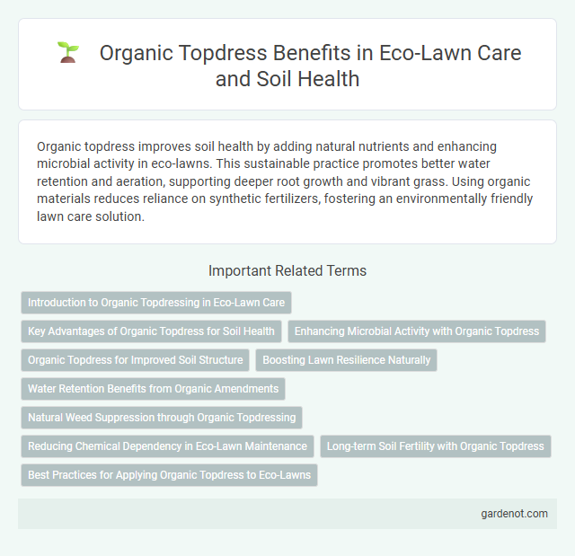 Organic Topdress Benefits in Eco-Lawn Care and Soil Health