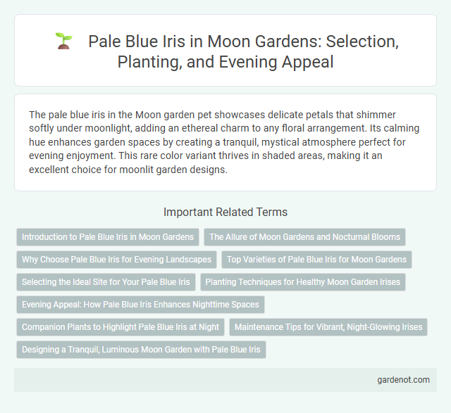 Pale Blue Iris in Moon Gardens: Selection, Planting, and Evening Appeal