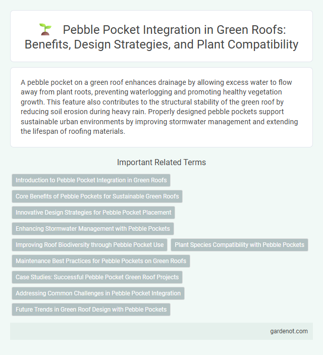 Pebble Pocket Integration in Green Roofs: Benefits, Design Strategies, and Plant Compatibility