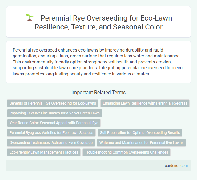Perennial Rye Overseeding for Eco-Lawn Resilience, Texture, and Seasonal Color