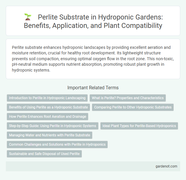 Perlite Substrate in Hydroponic Gardens: Benefits, Application, and Plant Compatibility