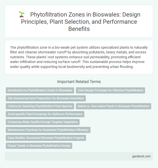 Phytofiltration Zones in Bioswales: Design Principles, Plant Selection, and Performance Benefits