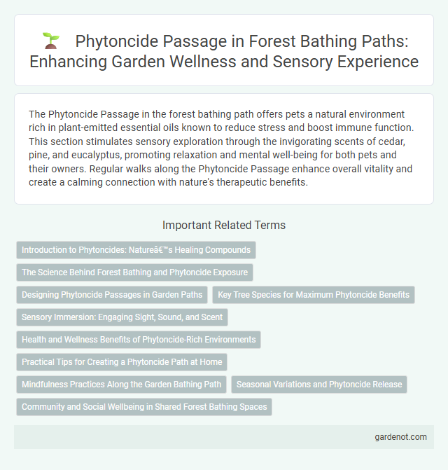 Phytoncide Passage in Forest Bathing Paths: Enhancing Garden Wellness and Sensory Experience