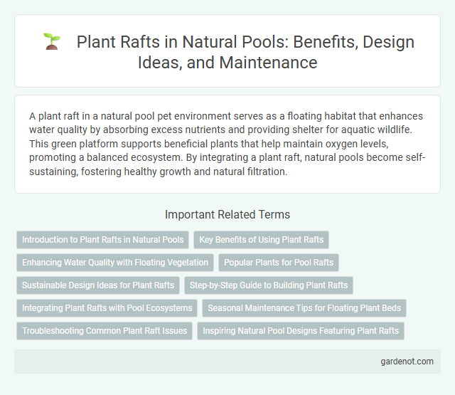 Plant Rafts in Natural Pools: Benefits, Design Ideas, and Maintenance