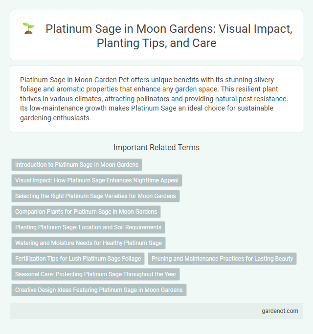 Platinum Sage in Moon Gardens: Visual Impact, Planting Tips, and Care