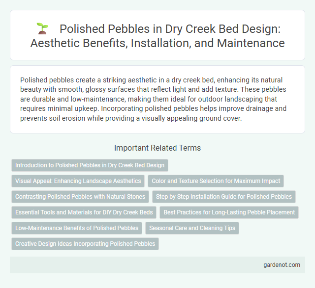 Polished Pebbles in Dry Creek Bed Design: Aesthetic Benefits, Installation, and Maintenance