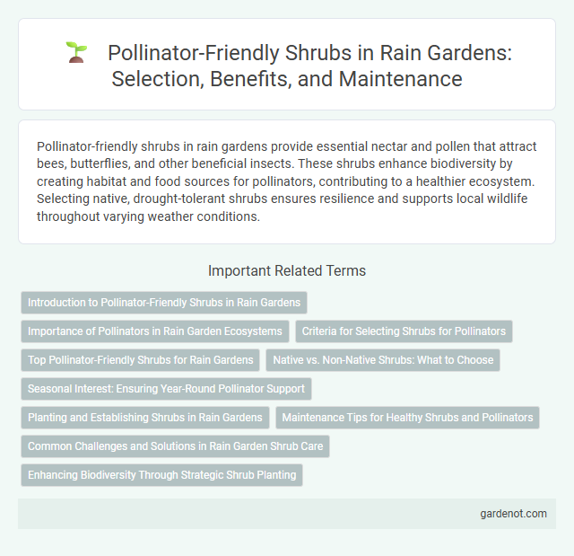 Pollinator-Friendly Shrubs in Rain Gardens: Selection, Benefits, and Maintenance