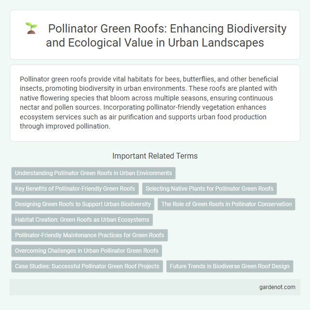 Pollinator Green Roofs: Enhancing Biodiversity and Ecological Value in Urban Landscapes