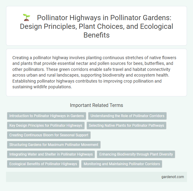 Pollinator Highways in Pollinator Gardens: Design Principles, Plant Choices, and Ecological Benefits