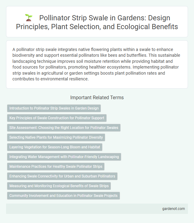 Pollinator Strip Swale in Gardens: Design Principles, Plant Selection, and Ecological Benefits