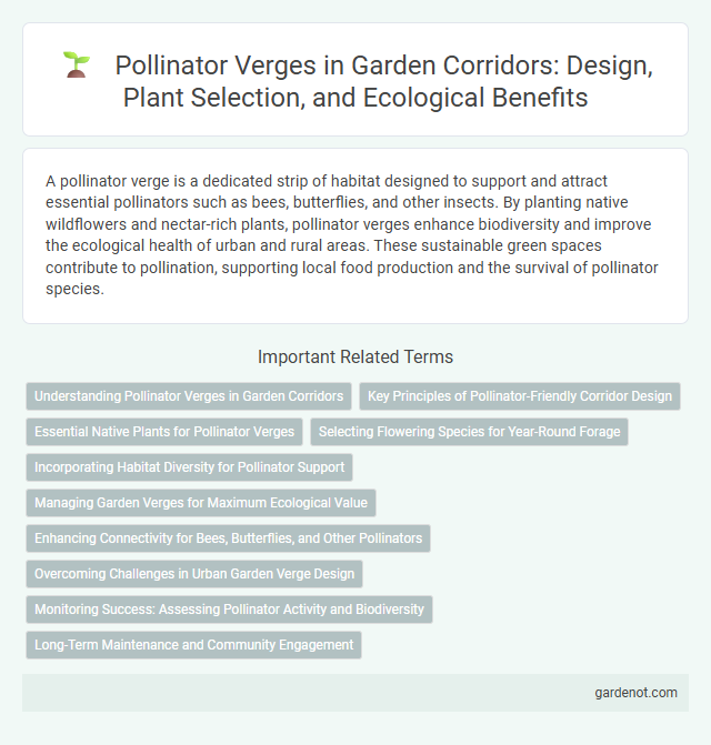 Pollinator Verges in Garden Corridors: Design, Plant Selection, and Ecological Benefits