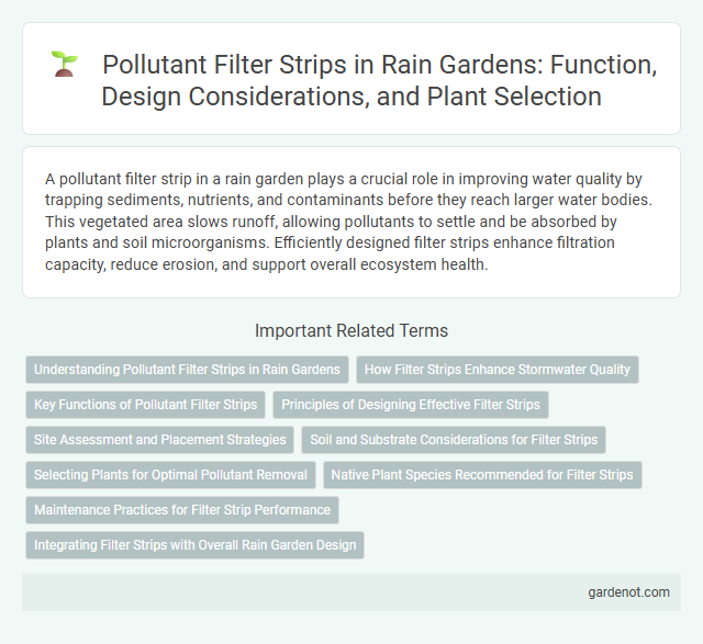 Pollutant Filter Strips in Rain Gardens: Function, Design Considerations, and Plant Selection