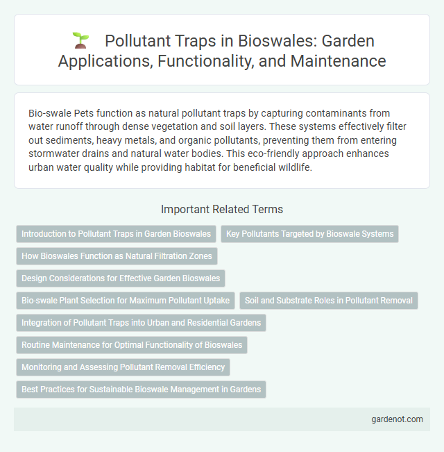Pollutant Traps in Bioswales: Garden Applications, Functionality, and Maintenance
