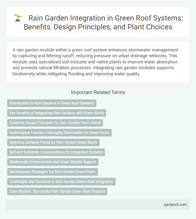 Rain Garden Integration in Green Roof Systems: Benefits, Design Principles, and Plant Choices