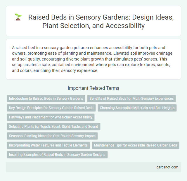 Raised Beds in Sensory Gardens: Design Ideas, Plant Selection, and Accessibility