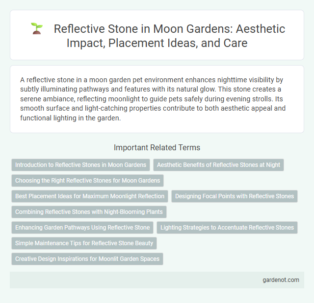 Reflective Stone in Moon Gardens: Aesthetic Impact, Placement Ideas, and Care