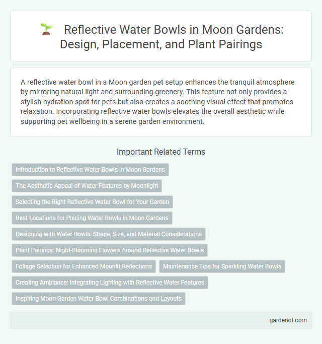 Reflective Water Bowls in Moon Gardens: Design, Placement, and Plant Pairings