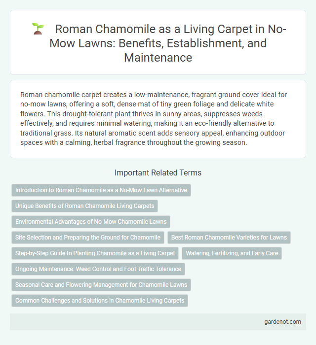Roman Chamomile as a Living Carpet in No-Mow Lawns: Benefits, Establishment, and Maintenance