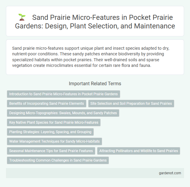 Sand Prairie Micro-Features in Pocket Prairie Gardens: Design, Plant Selection, and Maintenance