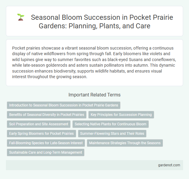 Seasonal Bloom Succession in Pocket Prairie Gardens: Planning, Plants, and Care