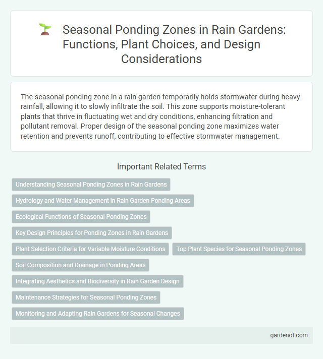 Seasonal Ponding Zones in Rain Gardens: Functions, Plant Choices, and Design Considerations