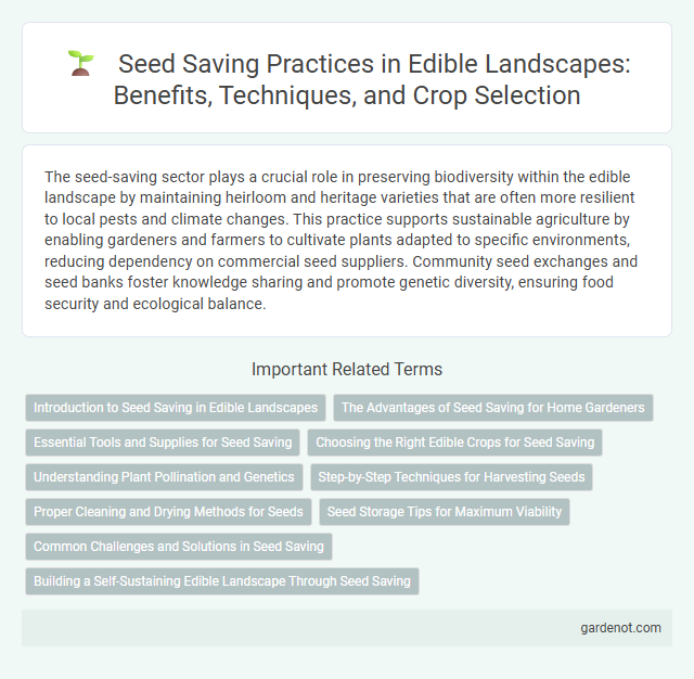 Seed Saving Practices in Edible Landscapes: Benefits, Techniques, and Crop Selection