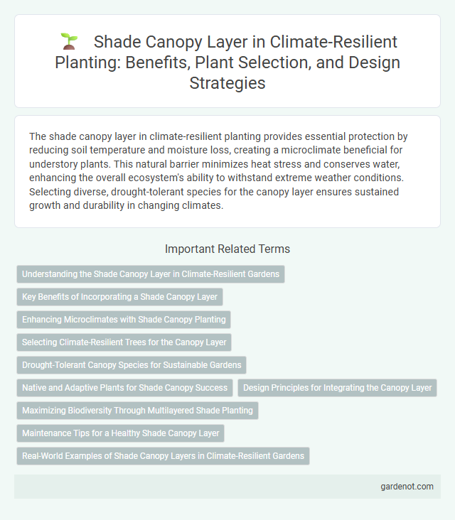 Shade Canopy Layer in Climate-Resilient Planting: Benefits, Plant Selection, and Design Strategies