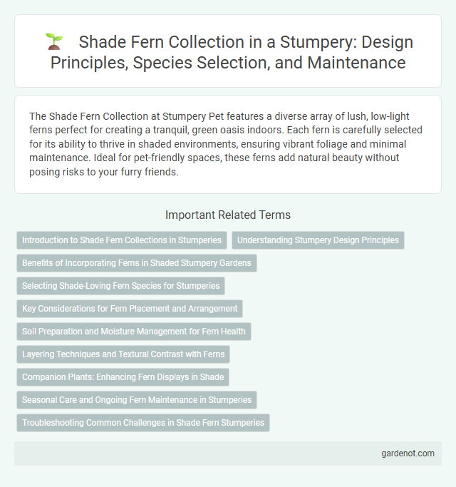 Shade Fern Collection in a Stumpery: Design Principles, Species Selection, and Maintenance