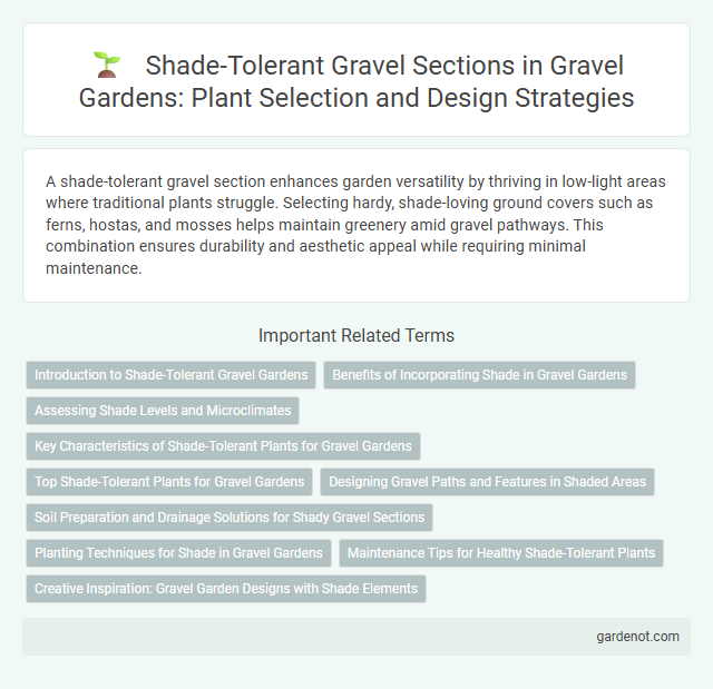 Shade-Tolerant Gravel Sections in Gravel Gardens: Plant Selection and Design Strategies