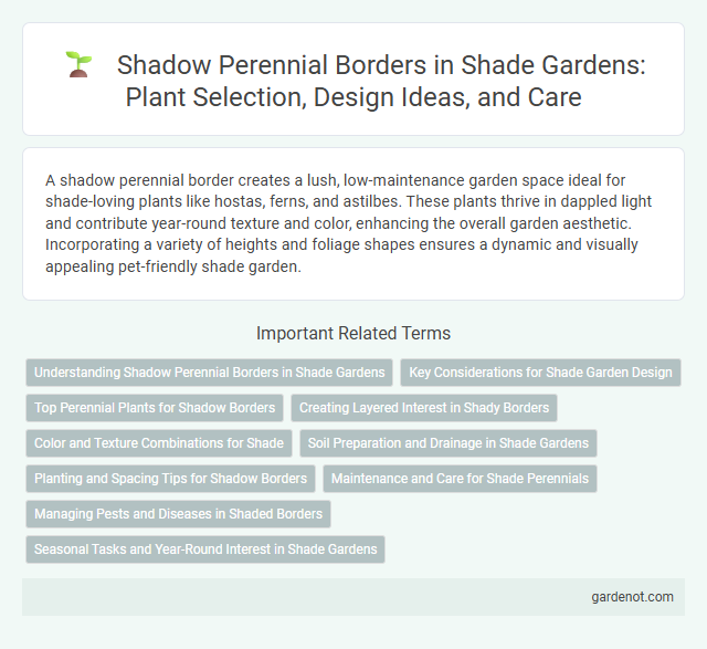 Shadow Perennial Borders in Shade Gardens: Plant Selection, Design Ideas, and Care