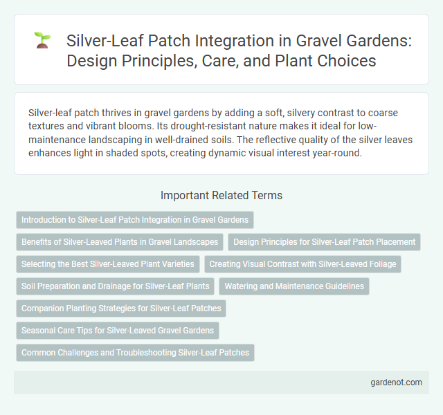 Silver-Leaf Patch Integration in Gravel Gardens: Design Principles, Care, and Plant Choices