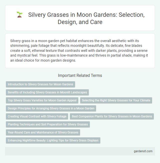 Silvery Grasses in Moon Gardens: Selection, Design, and Care