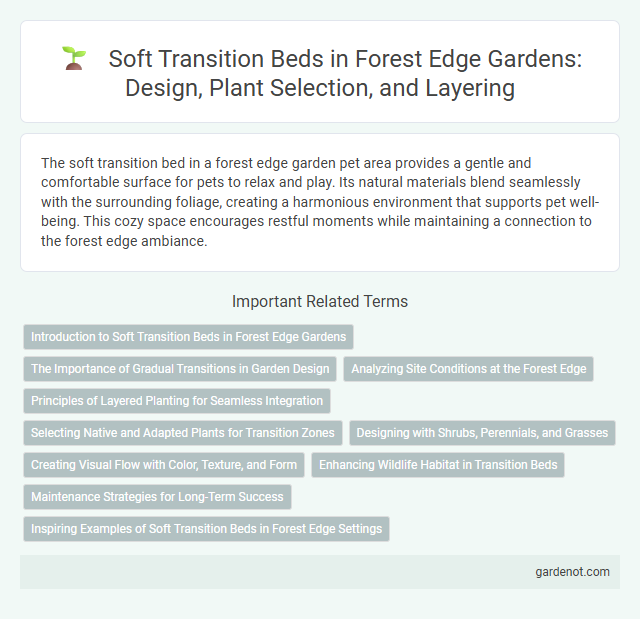Soft Transition Beds in Forest Edge Gardens: Design, Plant Selection, and Layering