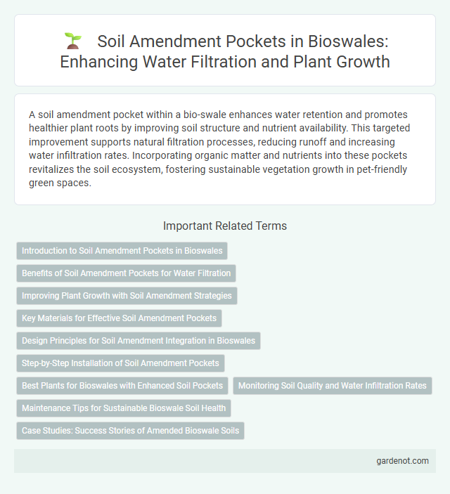 Soil Amendment Pockets in Bioswales: Enhancing Water Filtration and Plant Growth