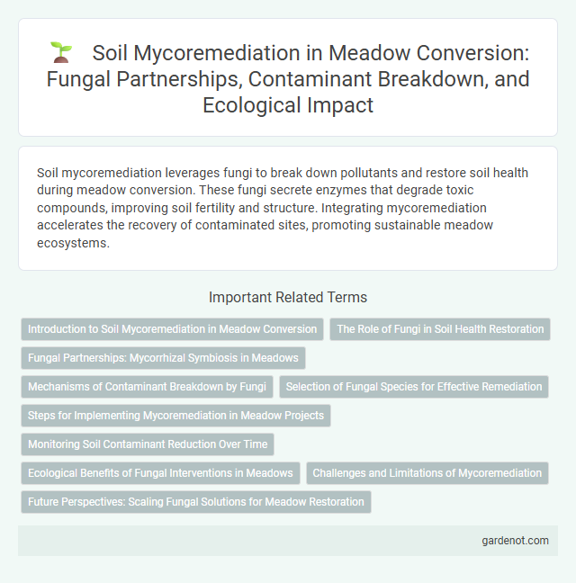 Soil Mycoremediation in Meadow Conversion: Fungal Partnerships, Contaminant Breakdown, and Ecological Impact