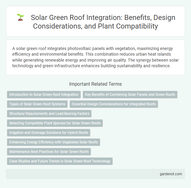 Solar Green Roof Integration: Benefits, Design Considerations, and Plant Compatibility