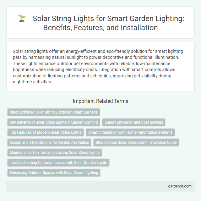 Solar String Lights for Smart Garden Lighting: Benefits, Features, and Installation