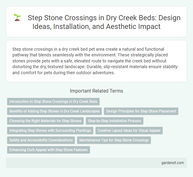 Step Stone Crossings in Dry Creek Beds: Design Ideas, Installation, and Aesthetic Impact