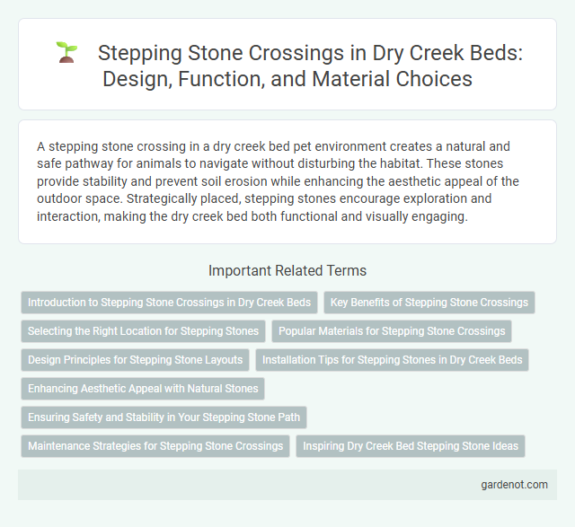 Stepping Stone Crossings in Dry Creek Beds: Design, Function, and Material Choices