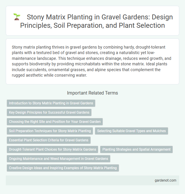 Stony Matrix Planting in Gravel Gardens: Design Principles, Soil Preparation, and Plant Selection
