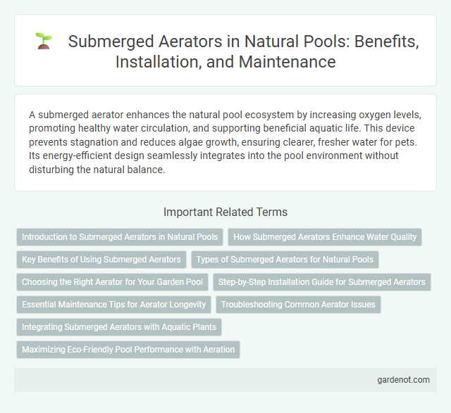 Submerged Aerators in Natural Pools: Benefits, Installation, and Maintenance