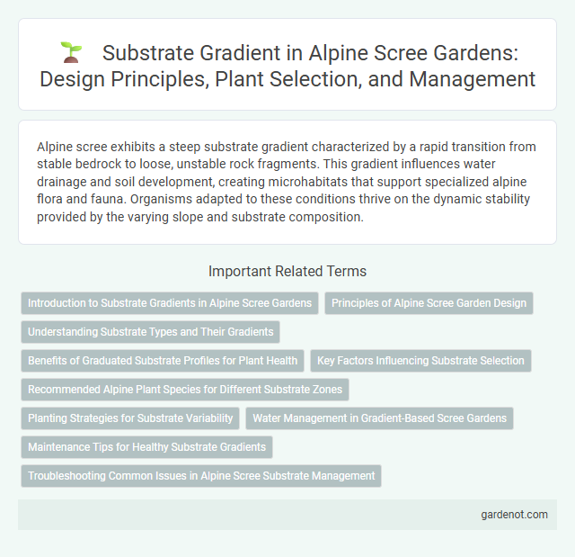 Substrate Gradient in Alpine Scree Gardens: Design Principles, Plant Selection, and Management