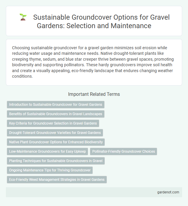 Sustainable Groundcover Options for Gravel Gardens: Selection and Maintenance
