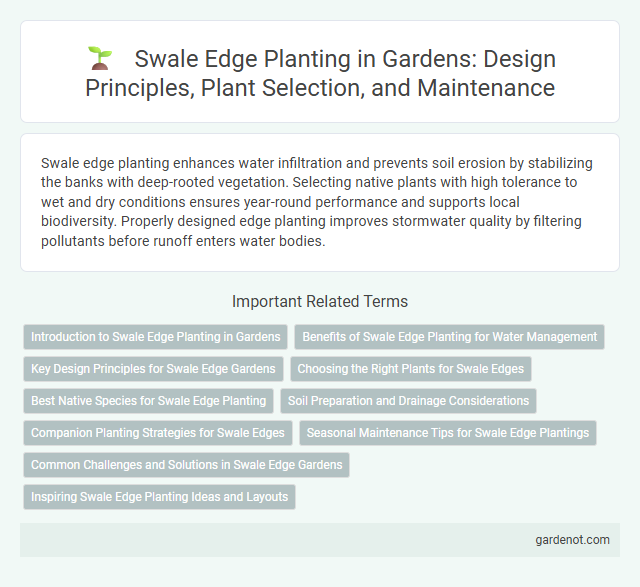 Swale Edge Planting in Gardens: Design Principles, Plant Selection, and Maintenance