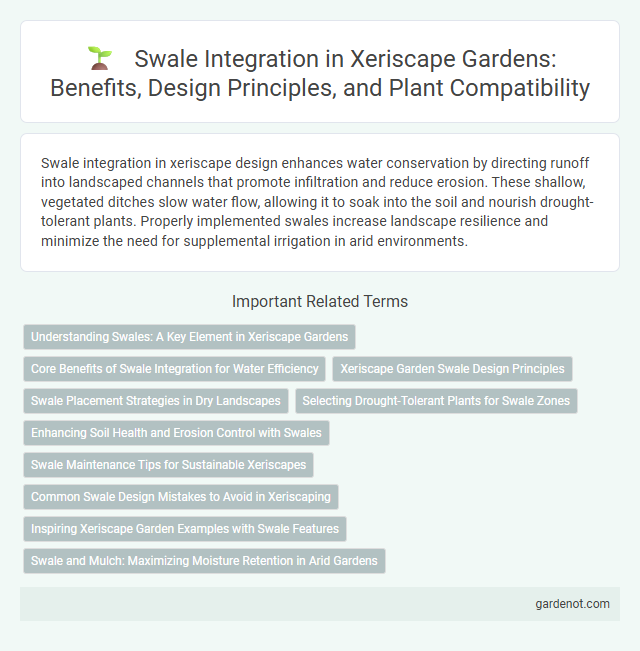 Swale Integration in Xeriscape Gardens: Benefits, Design Principles, and Plant Compatibility